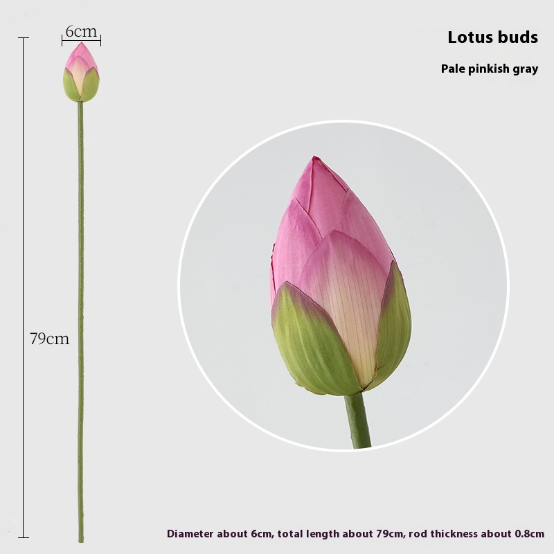 Bud Lotus Root Color