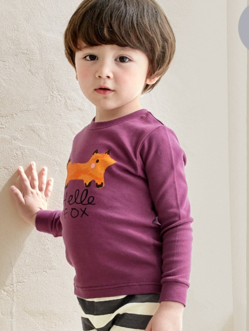 Little Fox