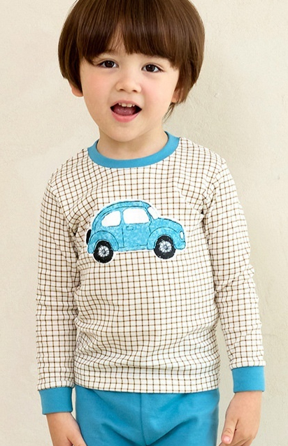 Car Slim Fit Regular Thickness