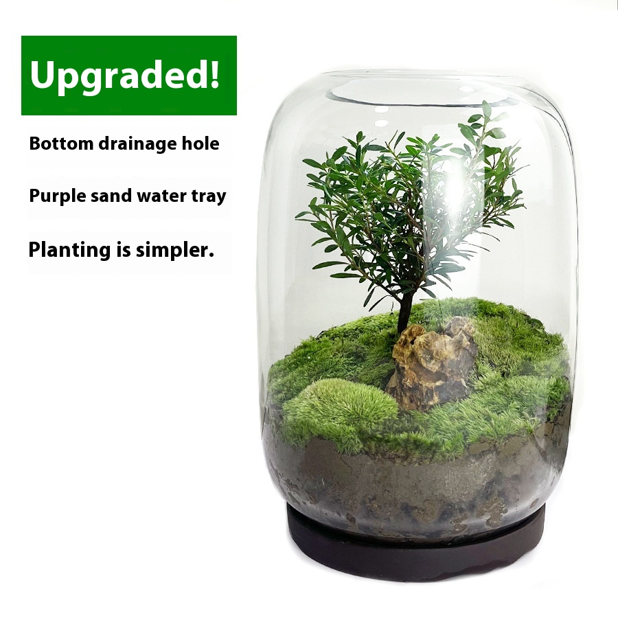Transparent Base Support