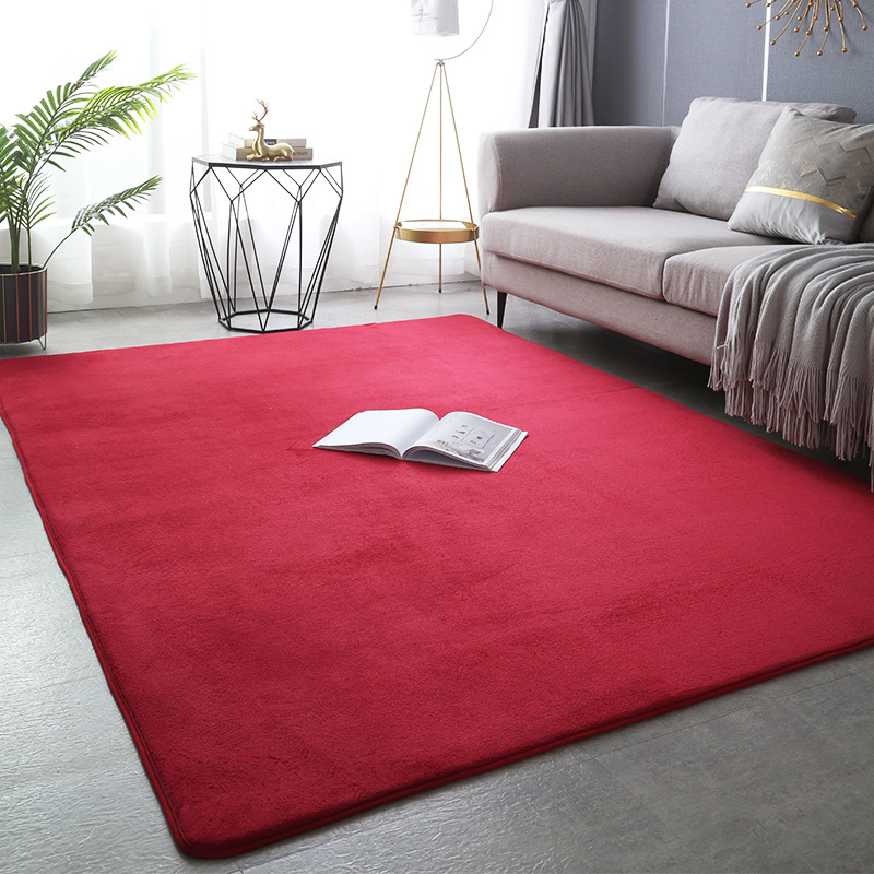 Title 3, Modern Minimalist Coral Fleece Carpet