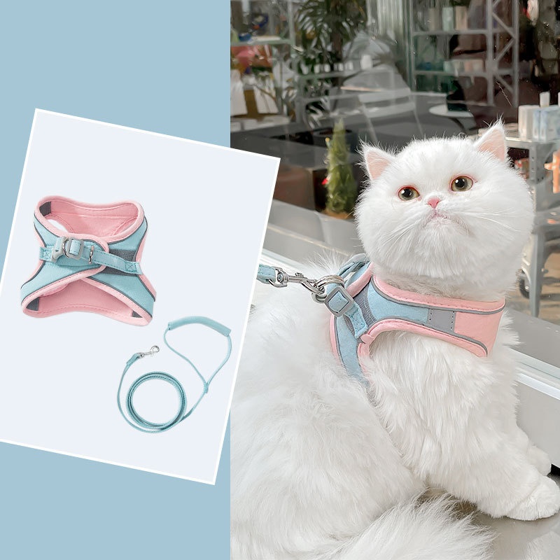 Blue Pink Stitching