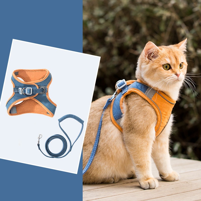 Blue Orange Stitching
