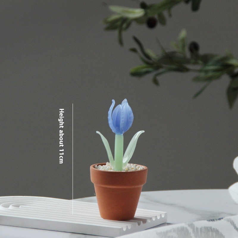 Blue Jade Tulip