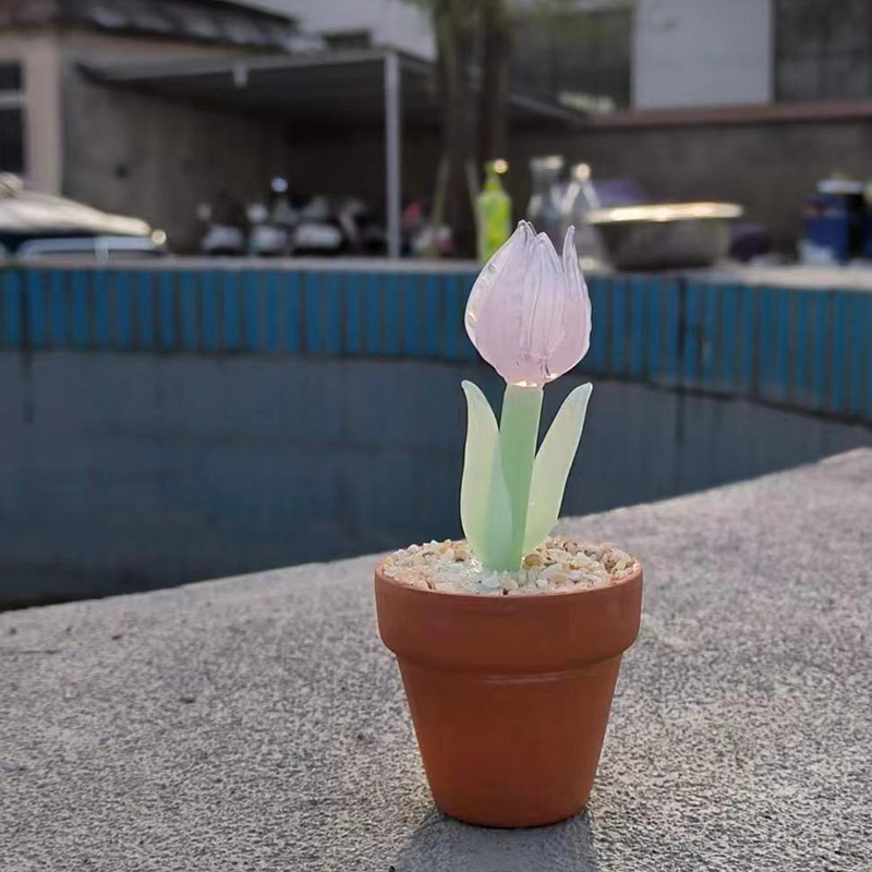 Pink Jade Tulip