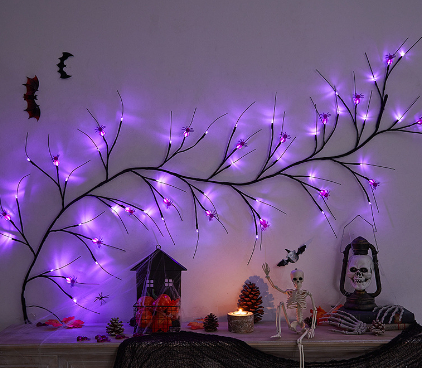 Purple Spider Vine