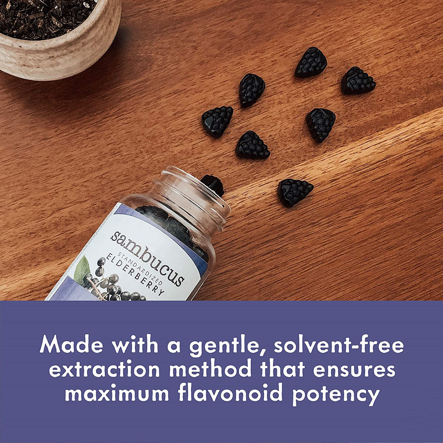 Title 1, Elderberry Gummies