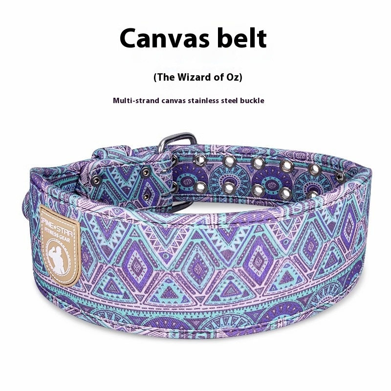 Wizard Of Oz Canvas Belt