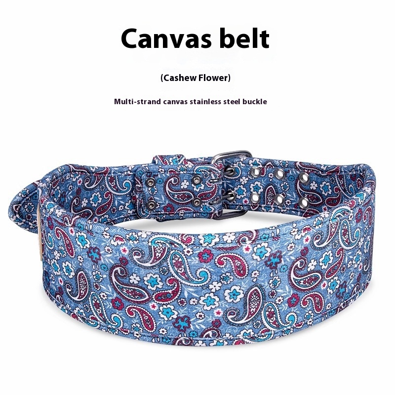 Paisley Canvas Belt