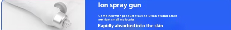 Ion spray gun