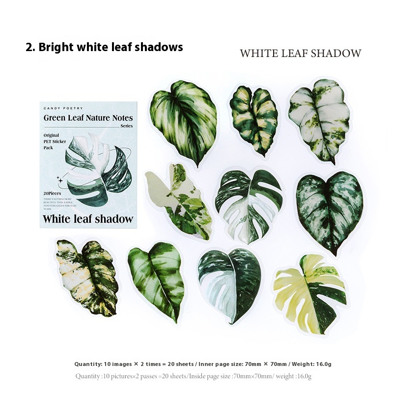 White Leaf Shadow