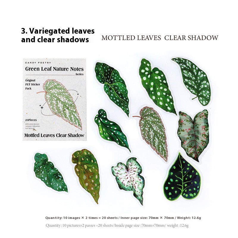 Clear Shadow Of Leaf Spot