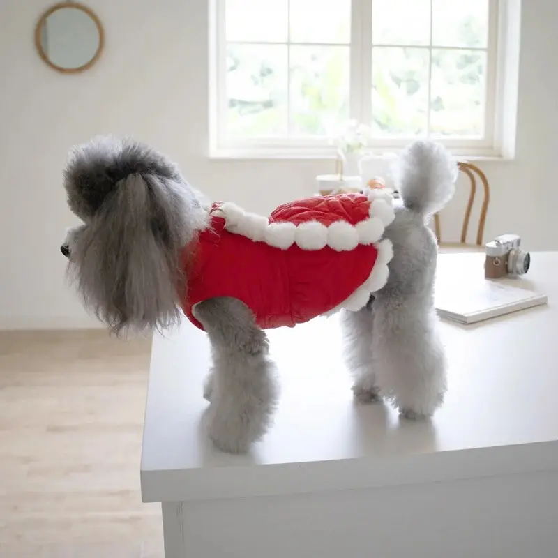 Pet Autumn And Winter Thickening Fur Collar Red Chinese Knot New Year Clothes
