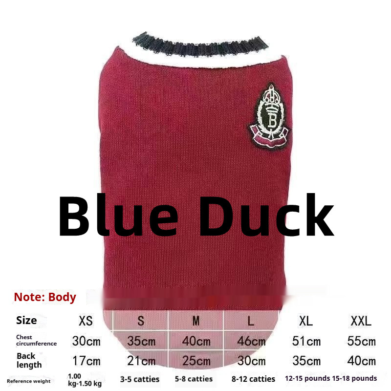 Blue Duck