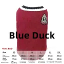 Blue Duck