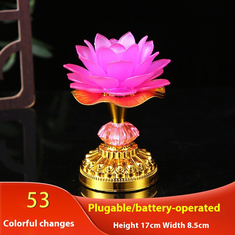 53 High Pink Single Lamp