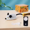 Gray Mouse Remote Control