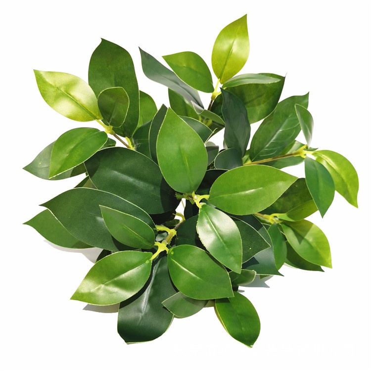 Title 9, Emulational Greenery Bonsai Large Leaf Plant