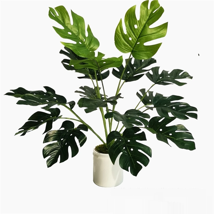 Back Turtle Leaf