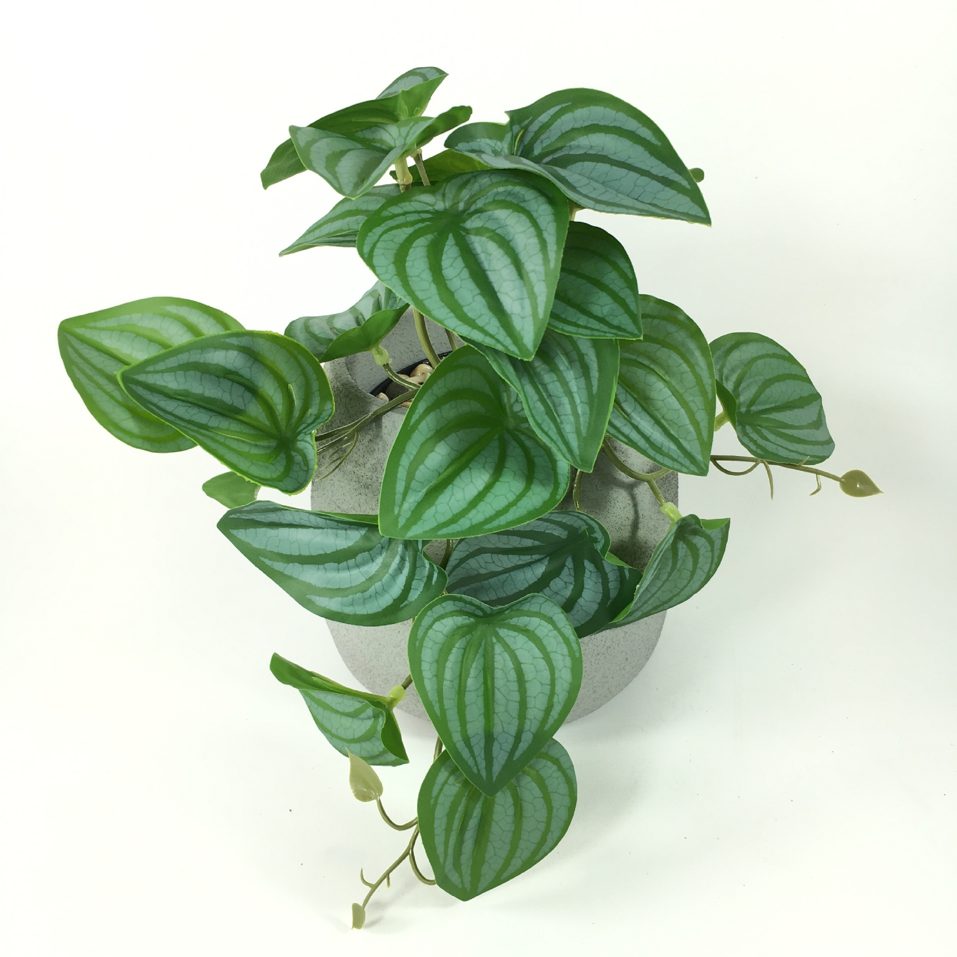 Title 7, Kunstplant Rieten Monstera Wanddecoratie 3D-pri...