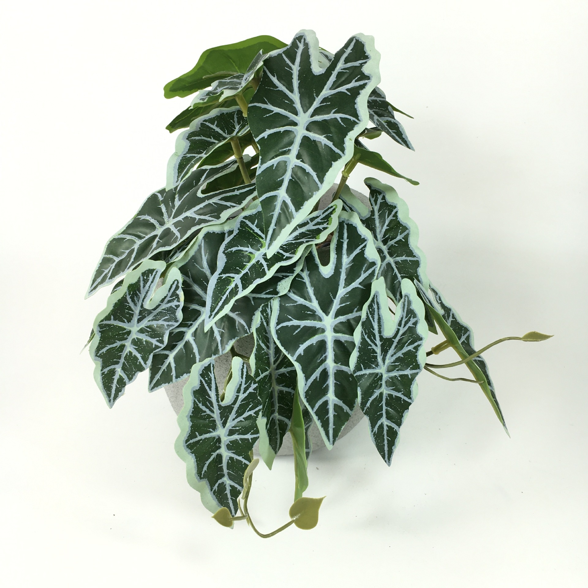 Title 5, Kunstplant Rieten Monstera Wanddecoratie 3D-pri...