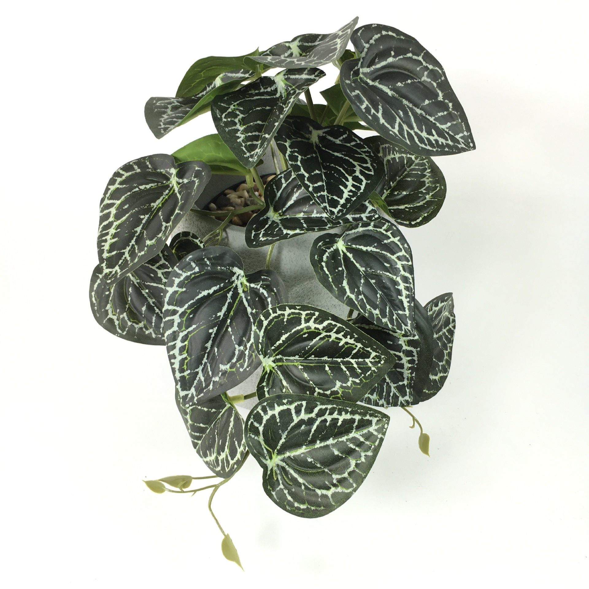 Title 27, Kunstplant Rieten Monstera Wanddecoratie 3D-pri...