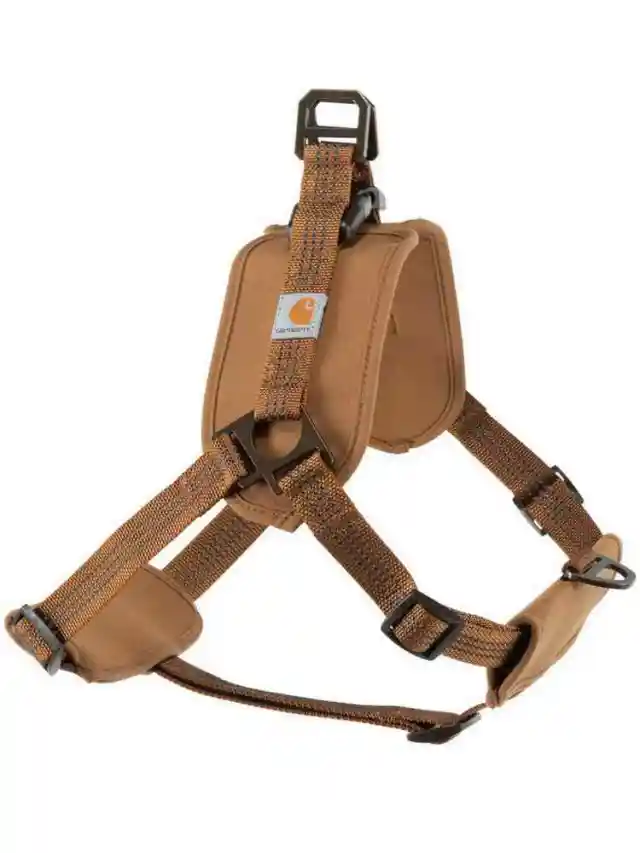 Tooling Chest Strap Dog Safety Training Belt Hand Holding Rope Chest Strap - Shop at LoveMi