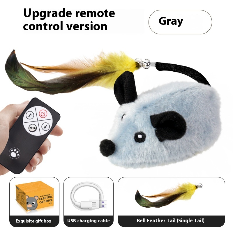 Gray Remote Control