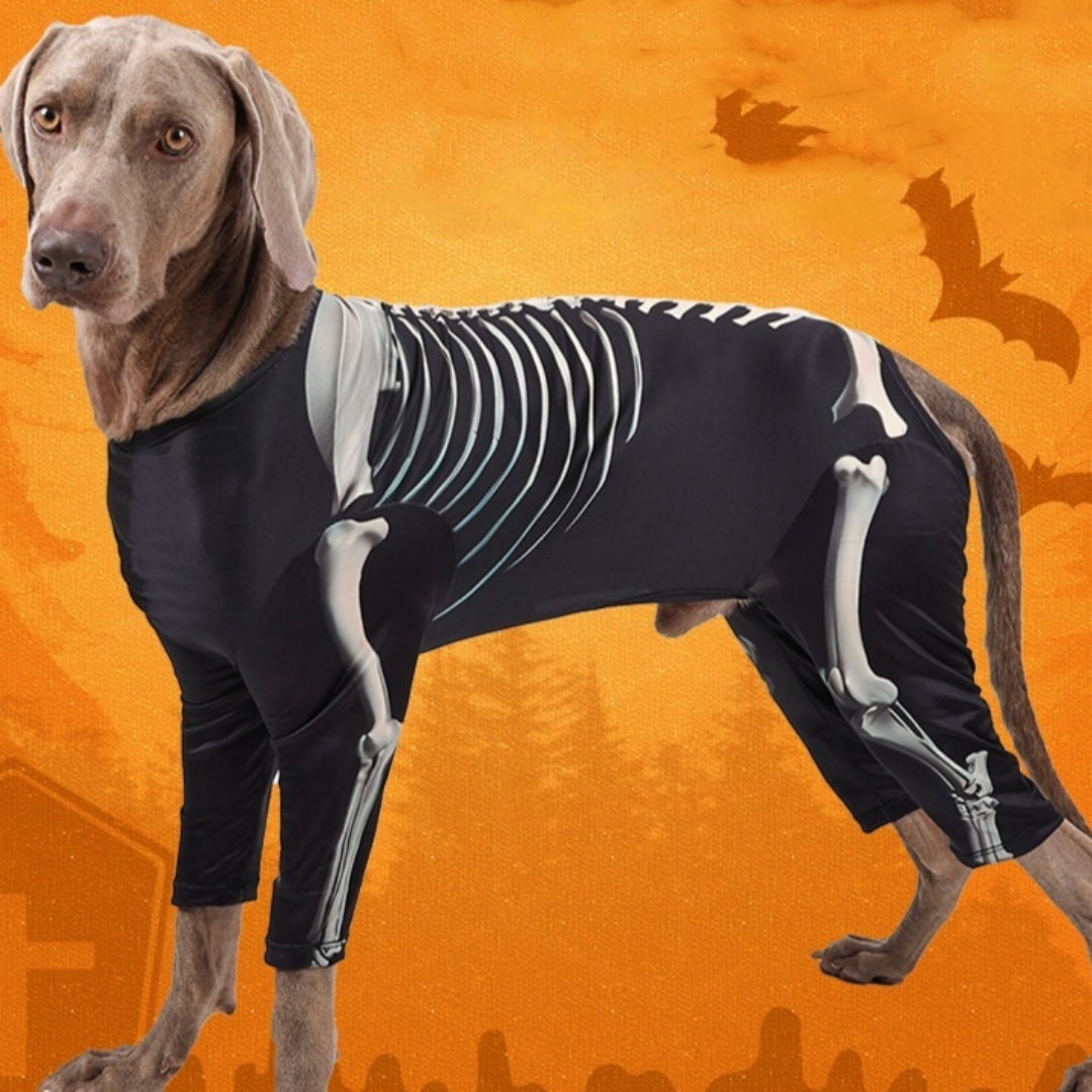 Transformation Dress Up Comfortable Pet Dog Halloween Clothes