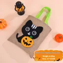 Black Cat Pumpkin
