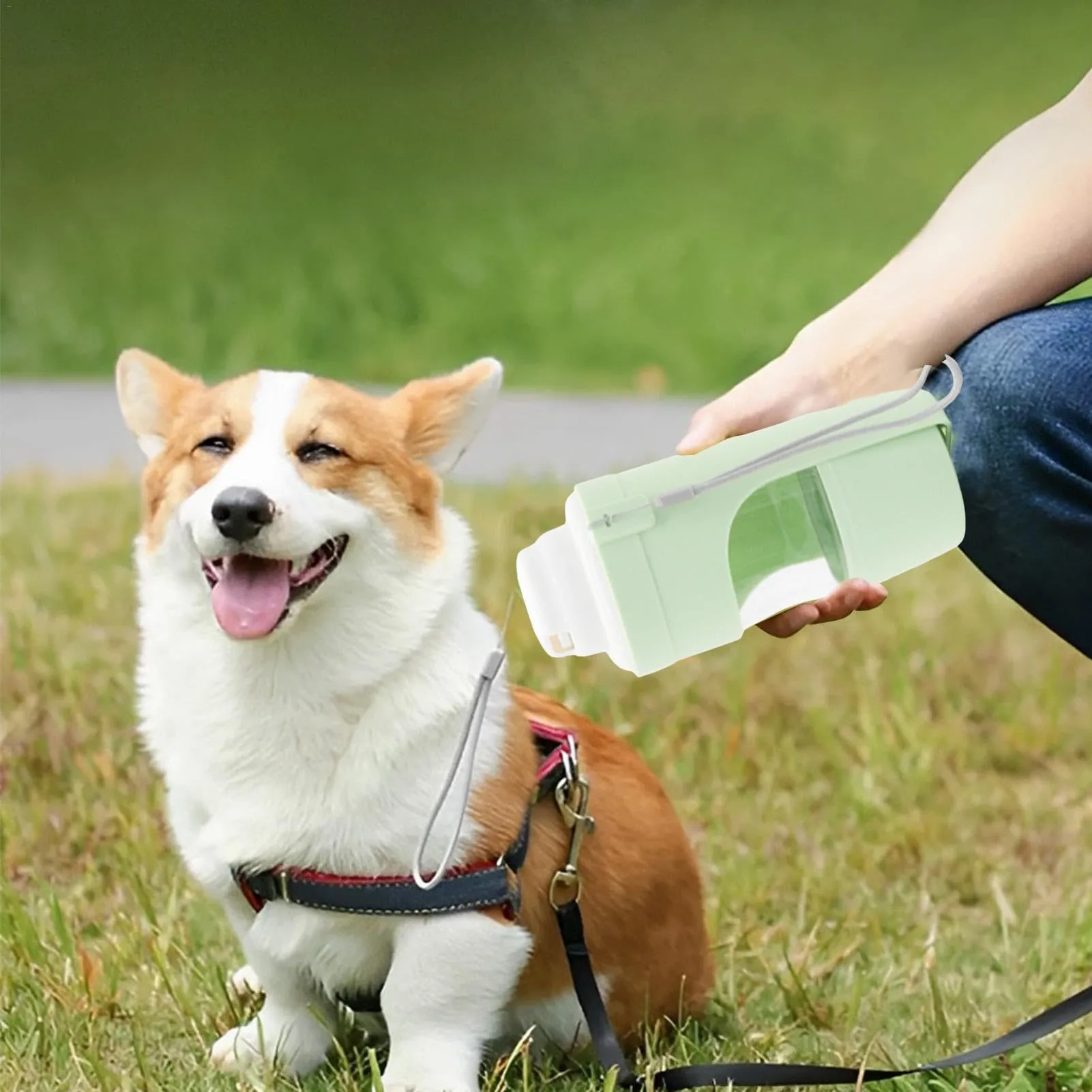 2 In 1 Travel Dog Water Bottle Pet Water Dispenser Feeder Drinking Feeder Dog Outing Water Feeder Pets Outdoor Portable Cup Pet Products – image 5