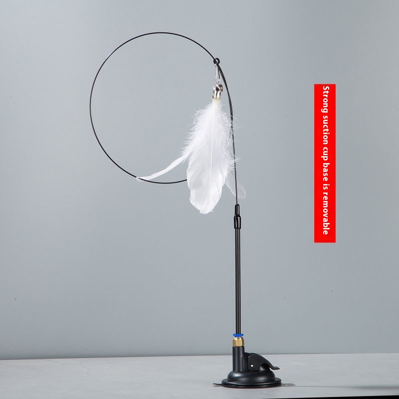 Ordinary Black White Feather