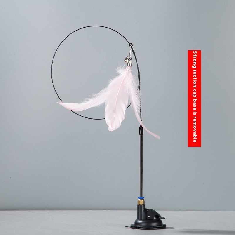 Ordinary Black Pink Feather