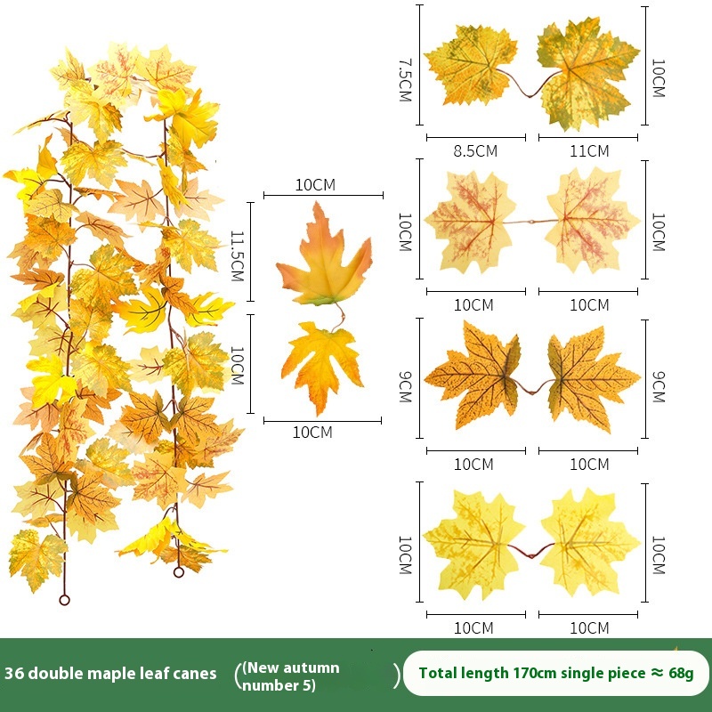 Bilateral Maple Leaf No 5