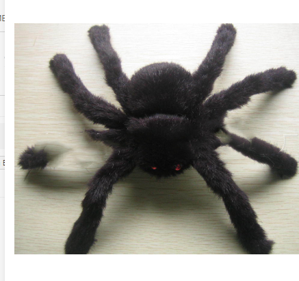 125cm Black Spider