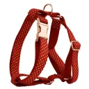 Dog Harness
