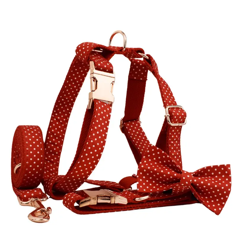 Red Dot Dog Leash Supply Pet Supplies Collar