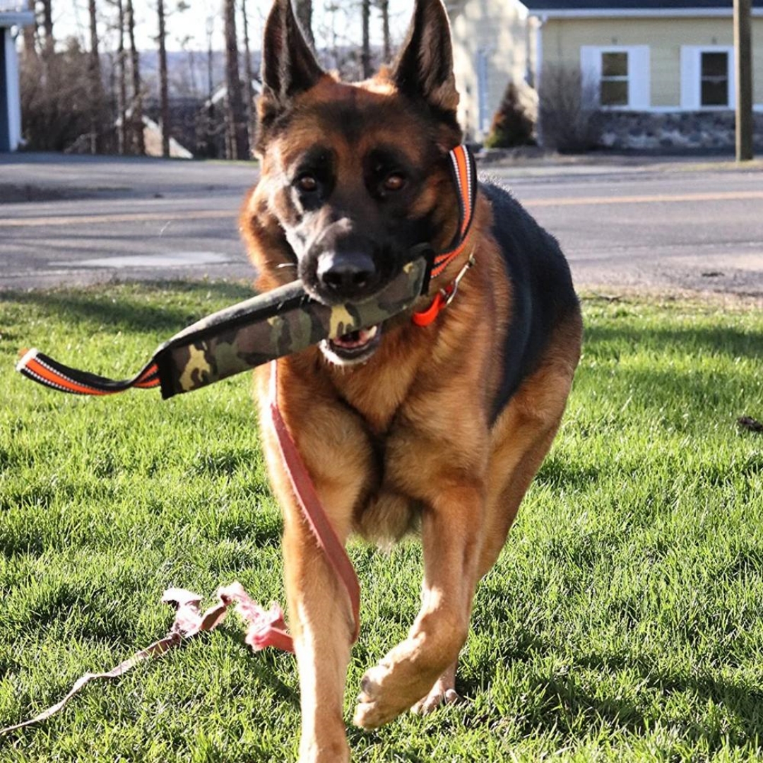 Reflective Dog Training Jute Yellow Edge Bite Stick