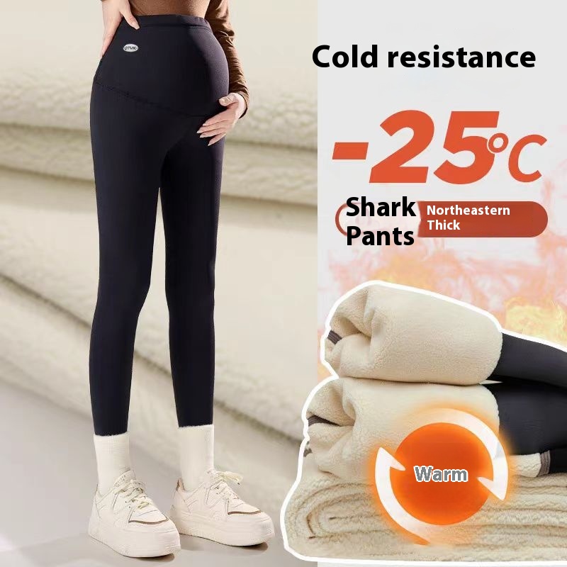 800g Shark Pants Black