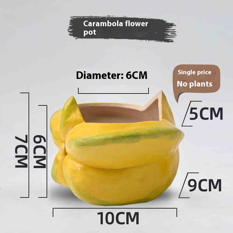 Carambola Flower Pot