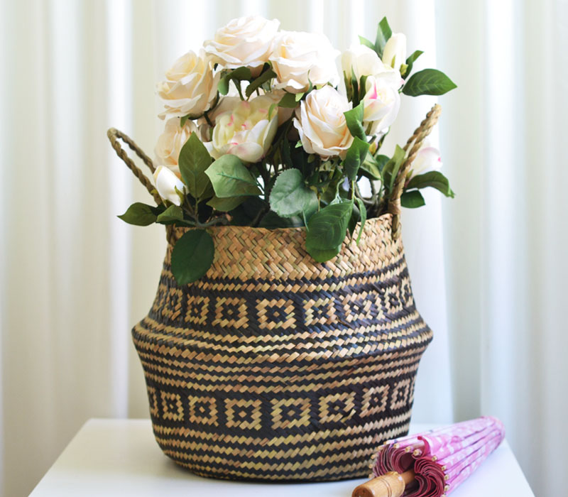 Black Chrysanthemum