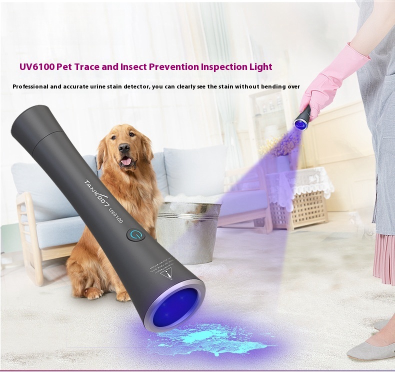 UV flashlight