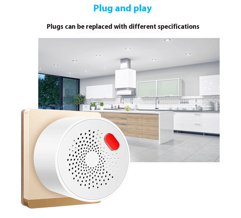 Title 8, Home Portable Graffiti WiFi Gas Alarm