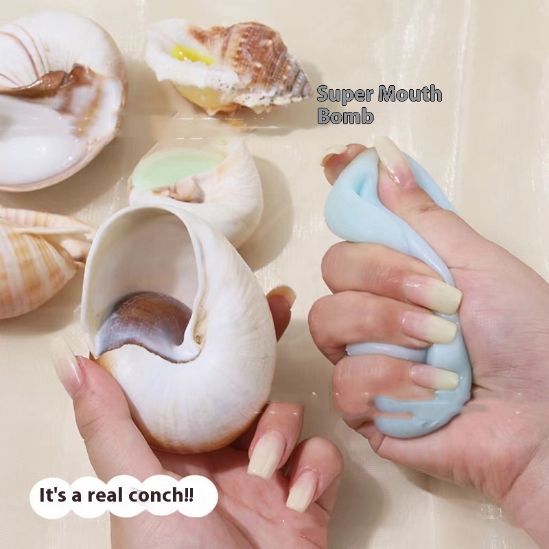 Conch Pinch Lecon Yi Shell Decompression Toy