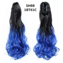 Sh88 1Bt61C
