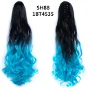 Sh88 1Bt4535