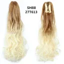 Sh88 27T613#