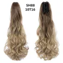 Sh88 10T16