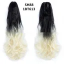 Sh88 1Bt613