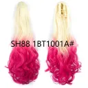 Sh88 1Bt1001A